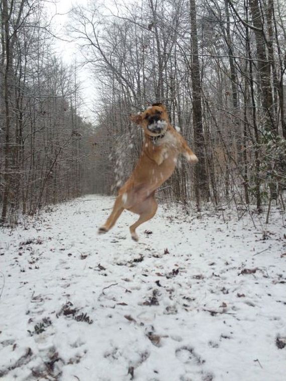 funny-pictures-914