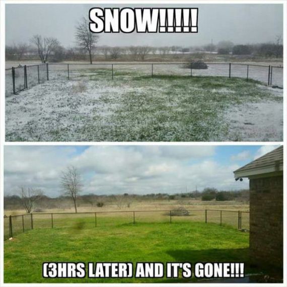 funny-pictures-914