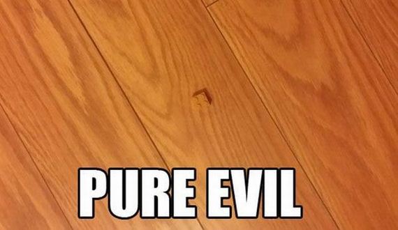 funny-pictures-915