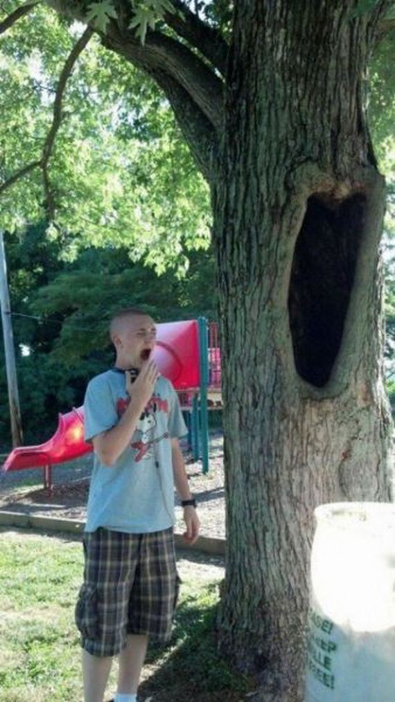 funny-pictures-915