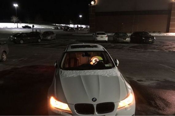 funny-pictures-917