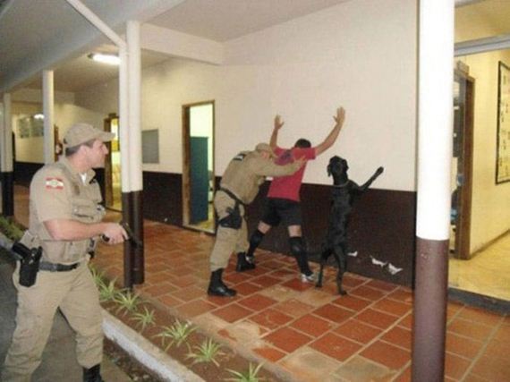 funny-pictures-917