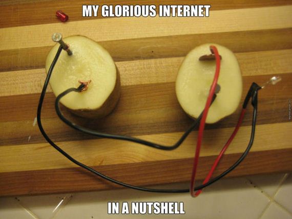 funny-pictures-917