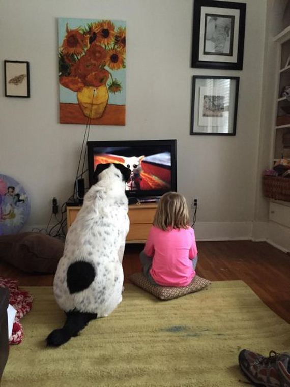 funny-pictures-917
