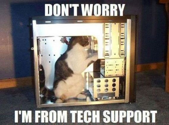 funny-pictures-918
