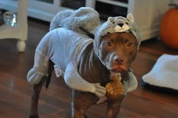 funny-pictures-919