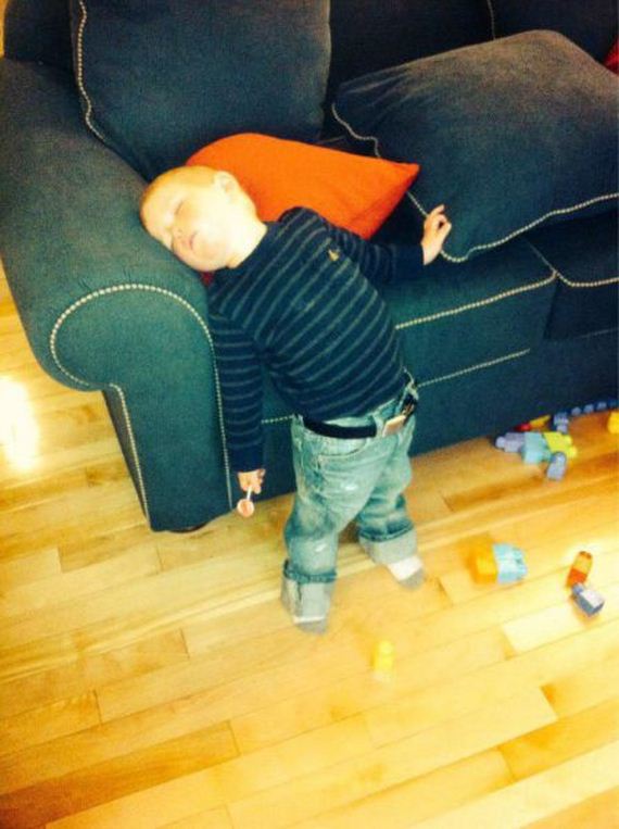 funny-pictures-919