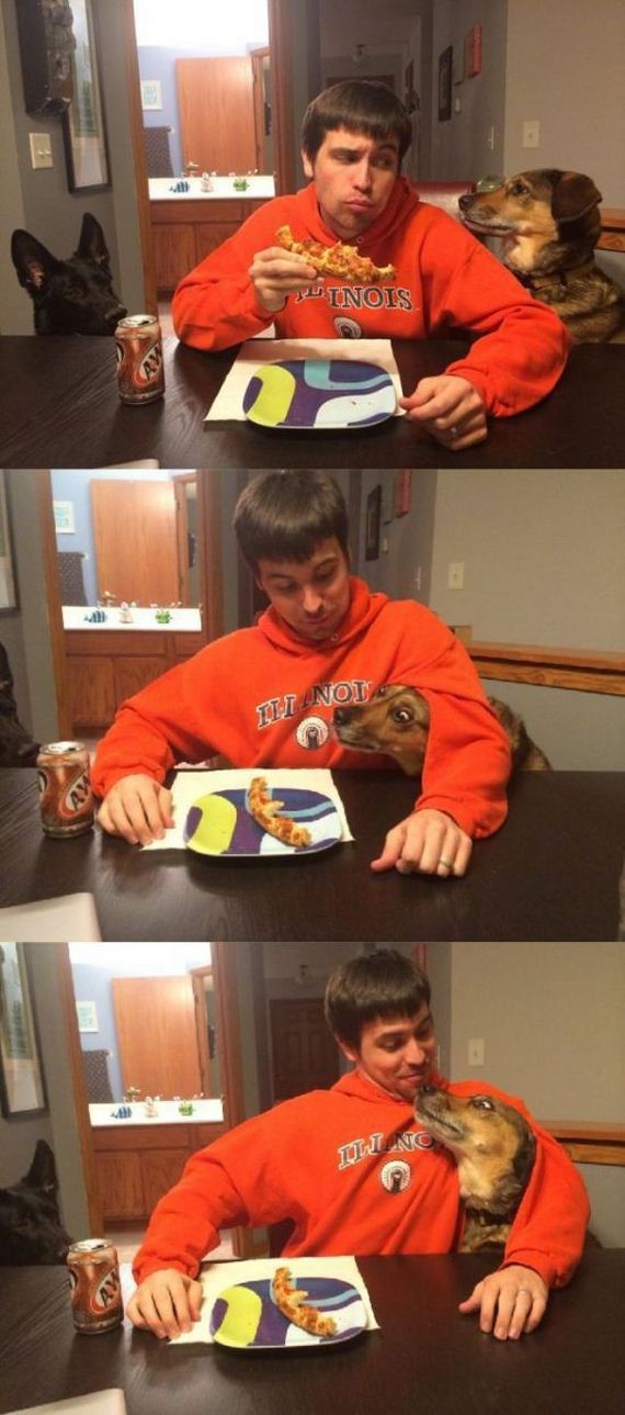 funny-pictures-919