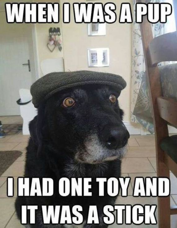 funny-pictures-919