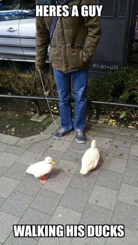 funny-pictures-924