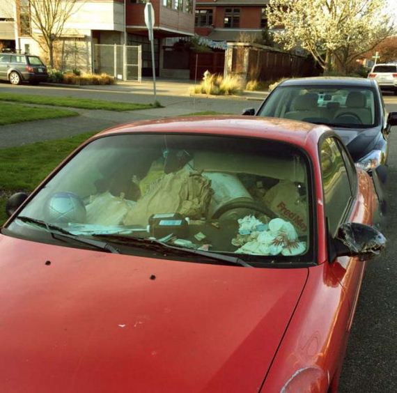funny-pictures-924