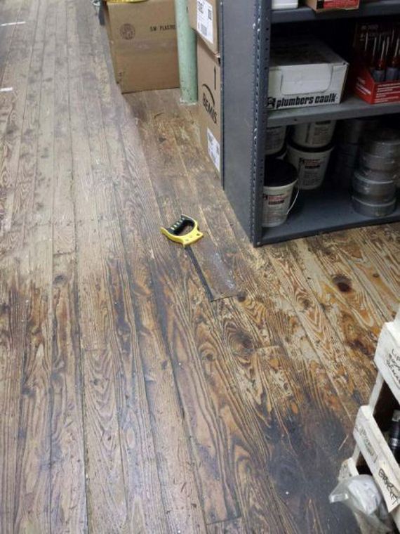 funny-pictures-924