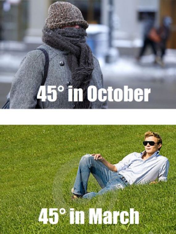 funny-pictures-925