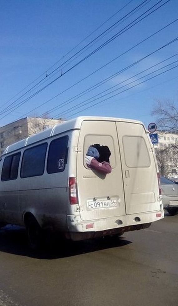 funny-pictures-926