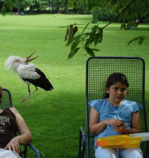 funny-pictures-927
