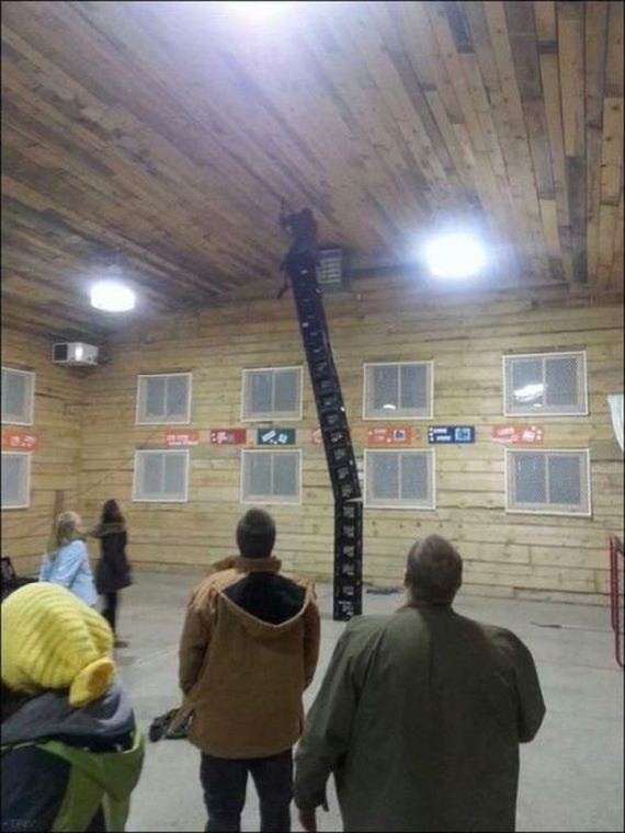 funny-pictures-930