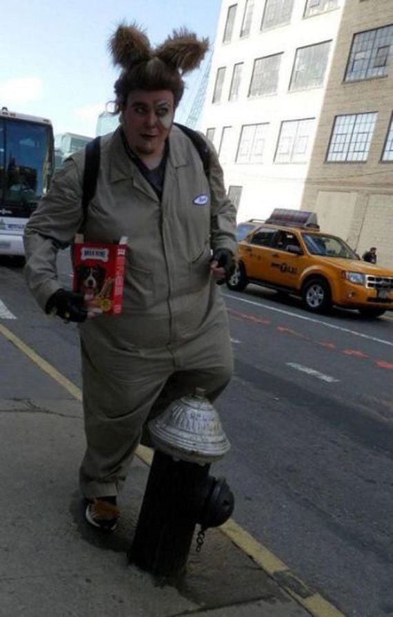 funny-pictures-931