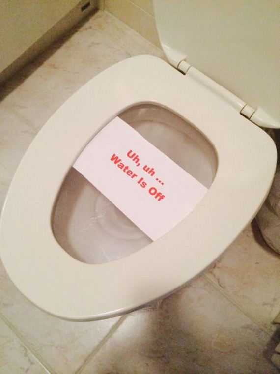 funny-pictures-931