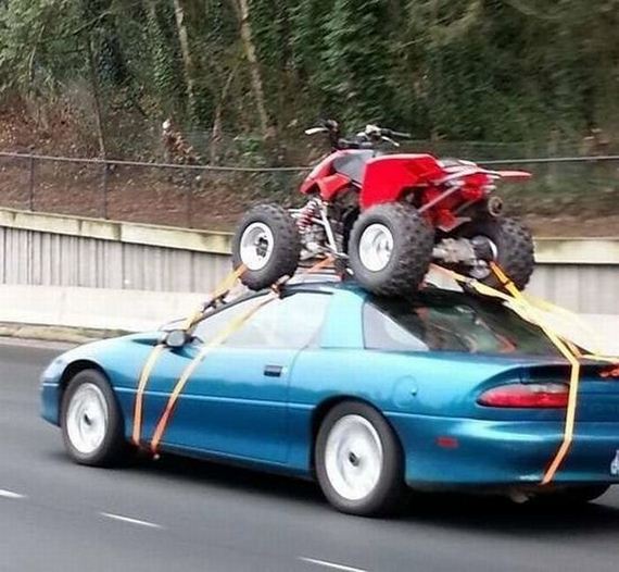 funny-pictures-932