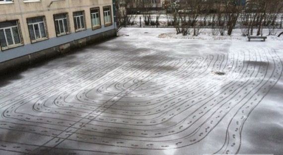 funny-pictures-932