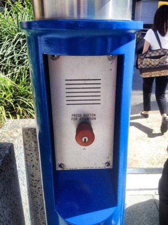 funny-pictures-932
