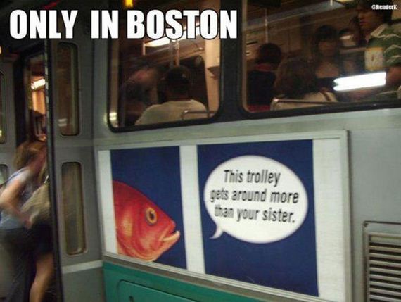 funny-pictures-933