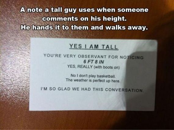 funny-pictures-933