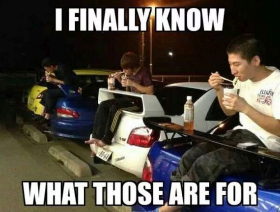 funny-pictures-933