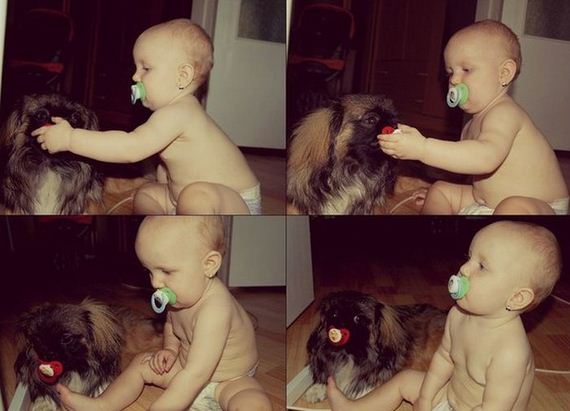 funny-pictures-933