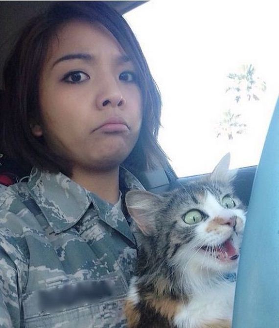 funny-pictures-933
