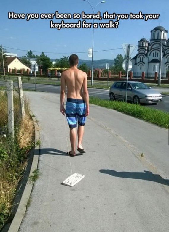 funny-pictures-933