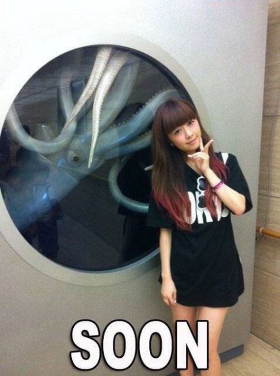 funny-pictures-933
