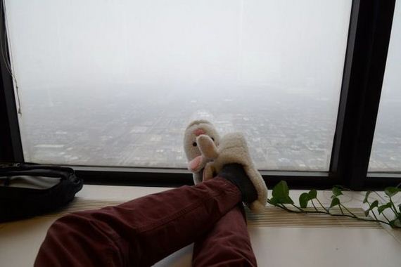 funny-pictures-934