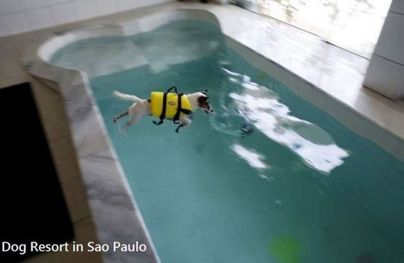 funny-pictures-934