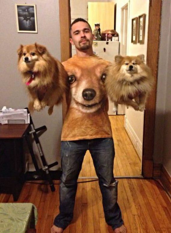 funny-pictures-934