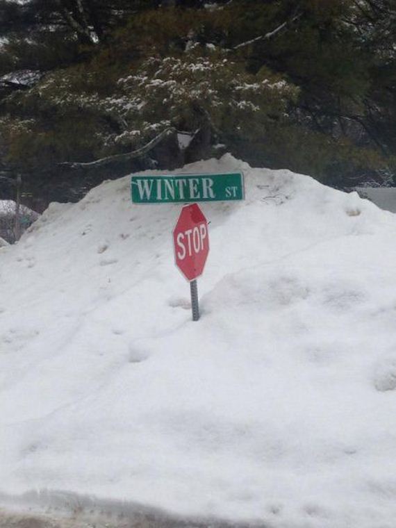 funny-pictures-934