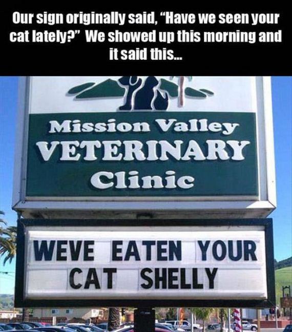 funny-pictures-934