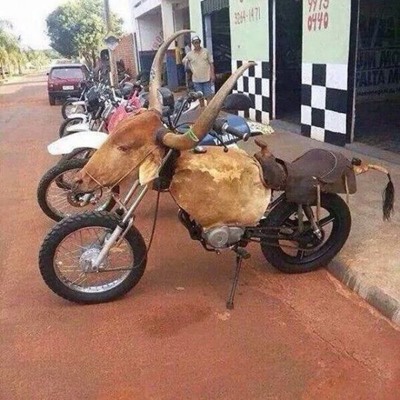 funny-pictures-934