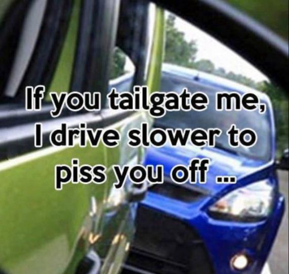 funny-pictures-934