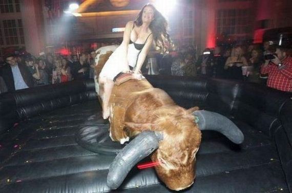 funny-pictures-935