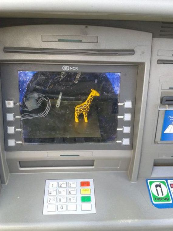 funny-pictures-935