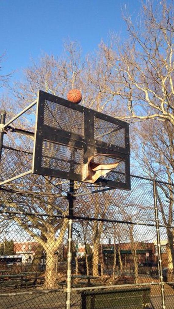 funny-pictures-935