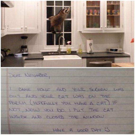 funny-pictures-935