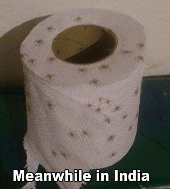 funny-pictures-935