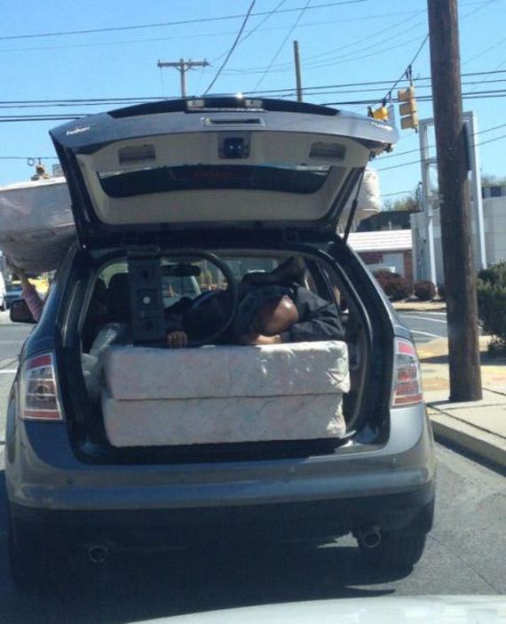 funny-pictures-936