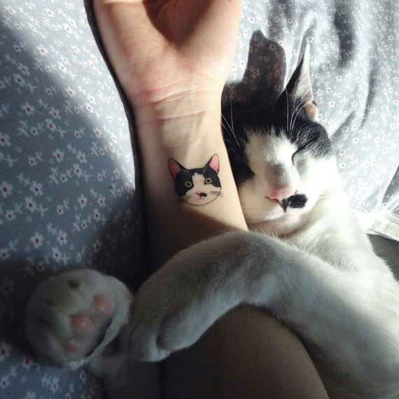 funny-pictures-936