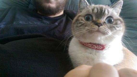 funny-pictures-937