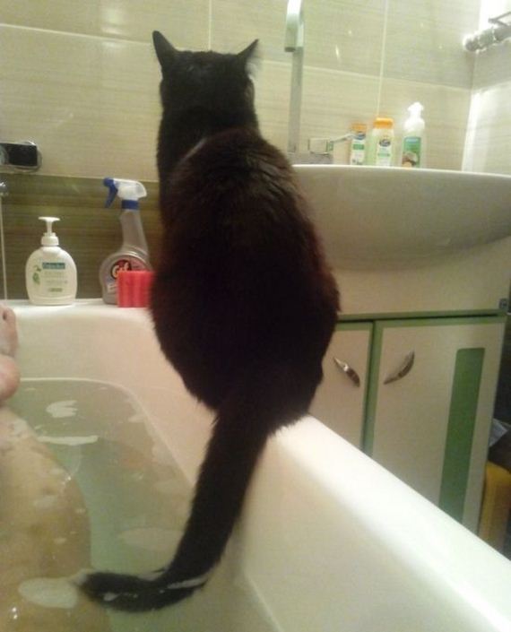 funny-pictures-937