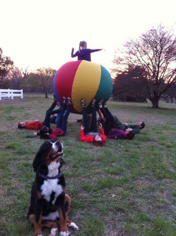 funny-pictures-937