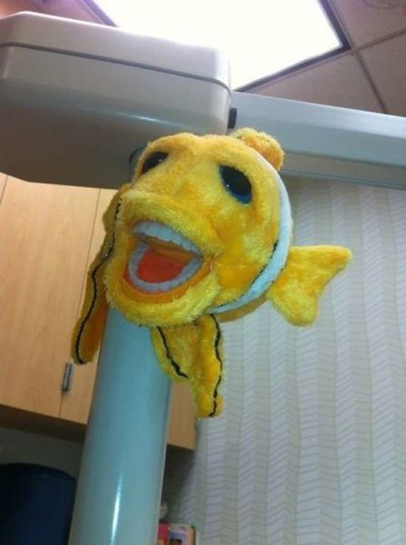 funny-pictures-937